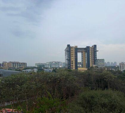 WhatsApp Image 2025-03-24 at 10.55.03 AM